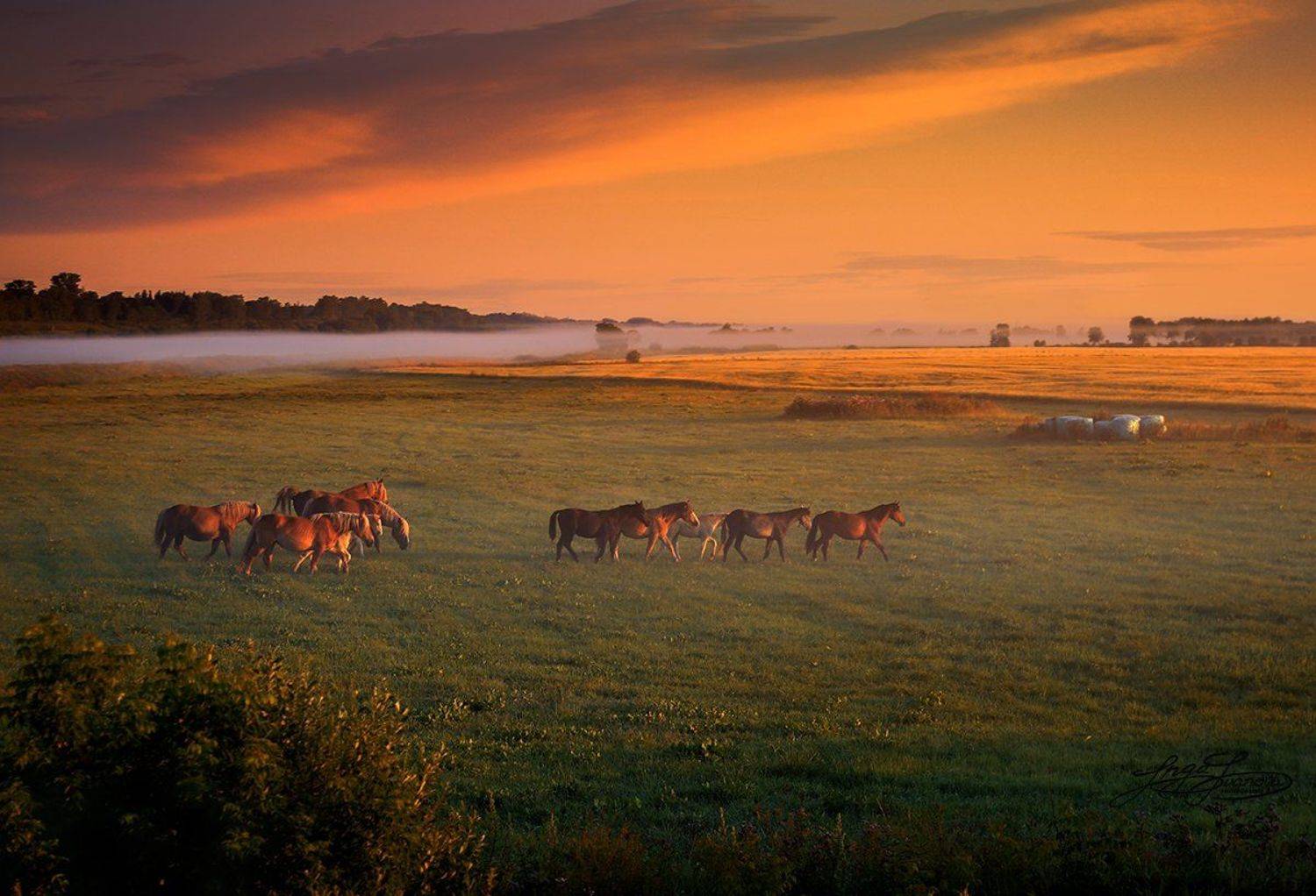 путь к ветру на свободу, Инга Иванова