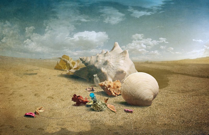 На странных берегах. фото превью