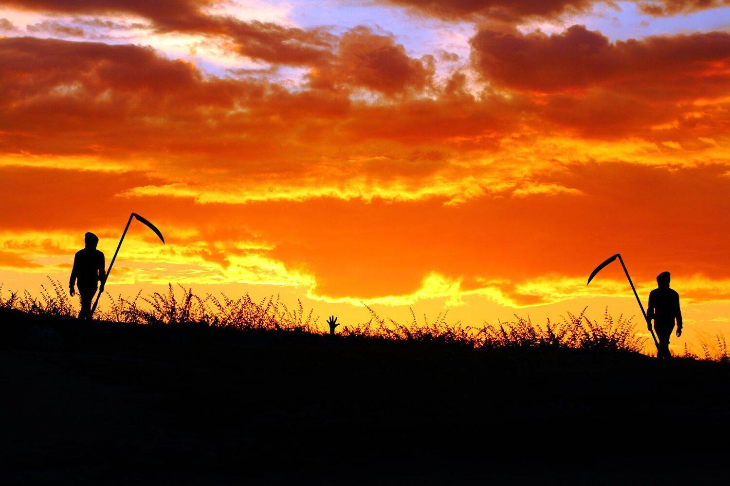 креатив, обработка, концепция, красоты, заход, жертва, concept, beauty, sunset, victims, Дмитрий Салтыков