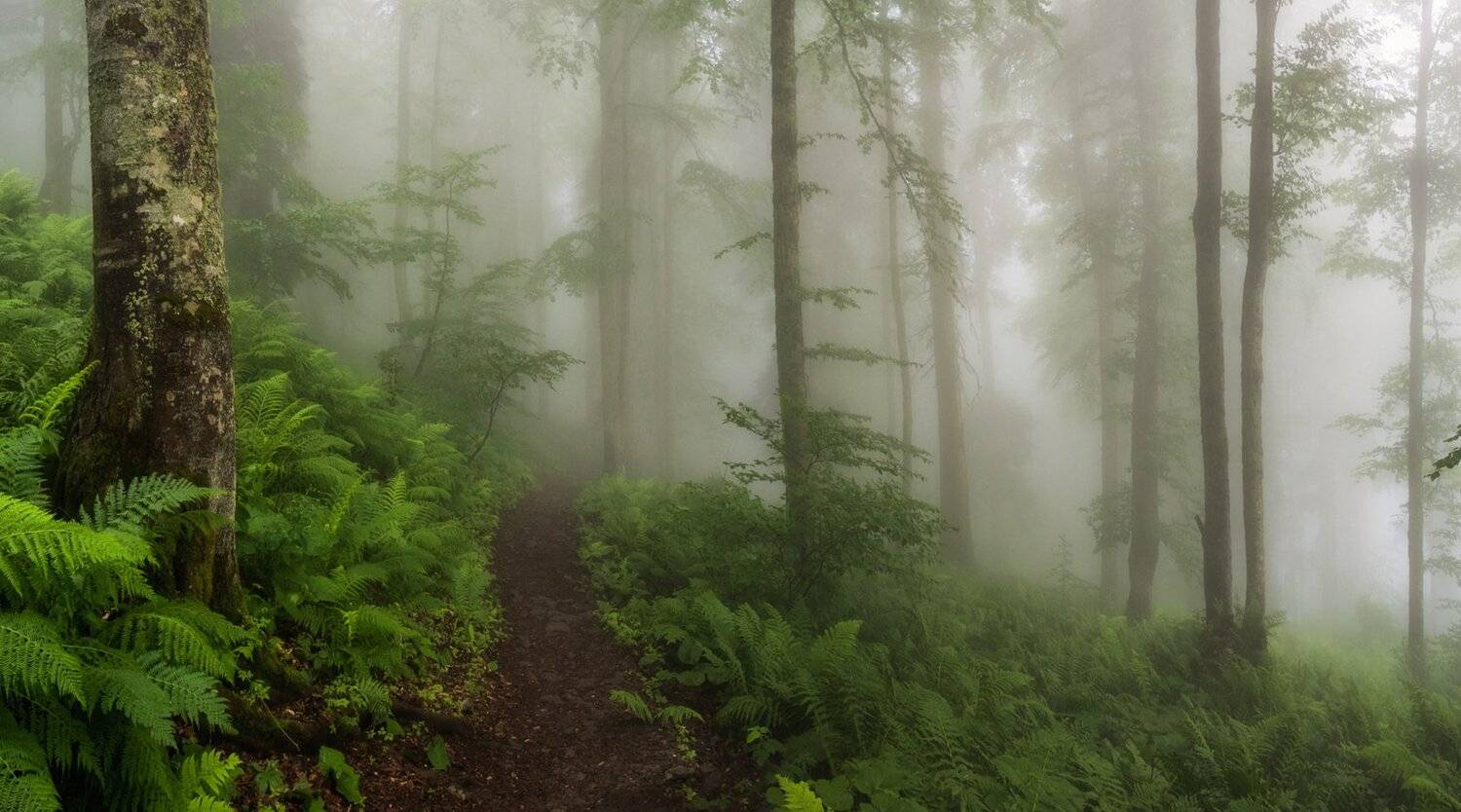 , Игорь Мелекесцев