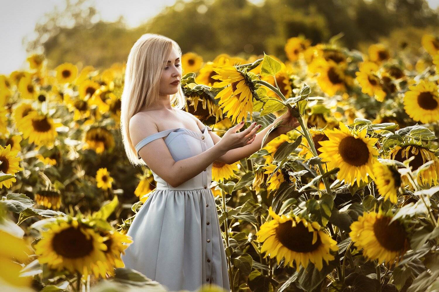 , Павел Сагайдак