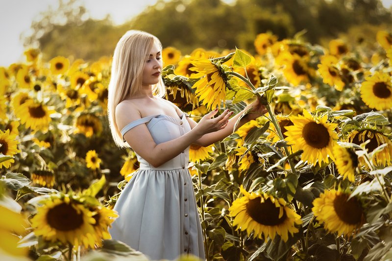 В подсолнухах фото превью