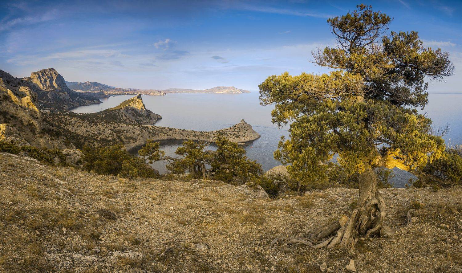 , Станислав Савицкий