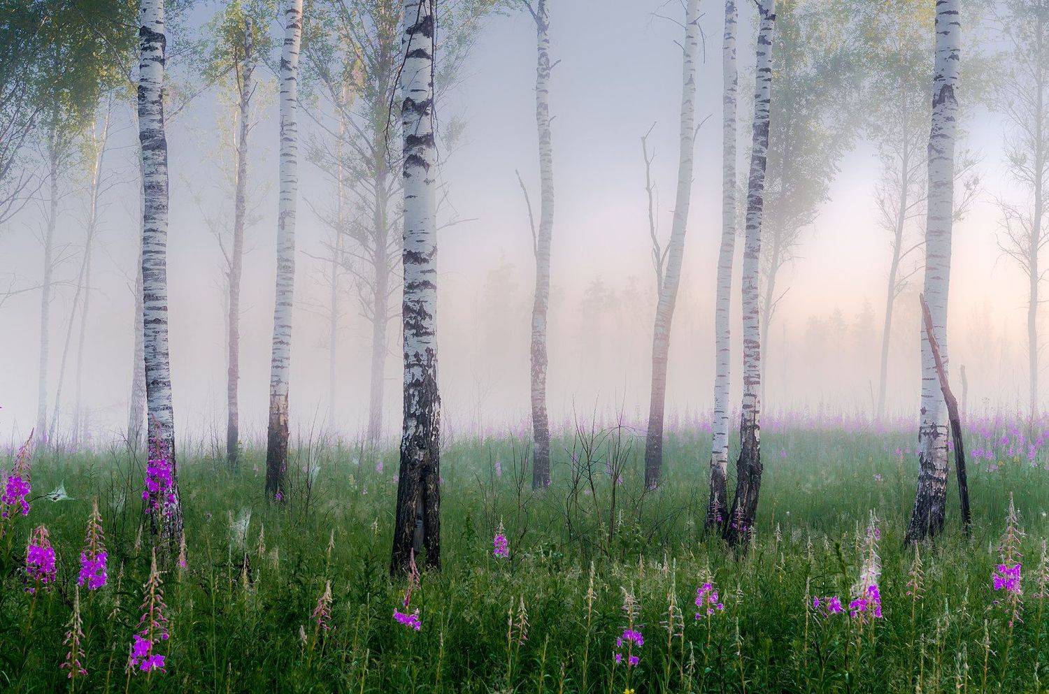 , Руслан Авдевич