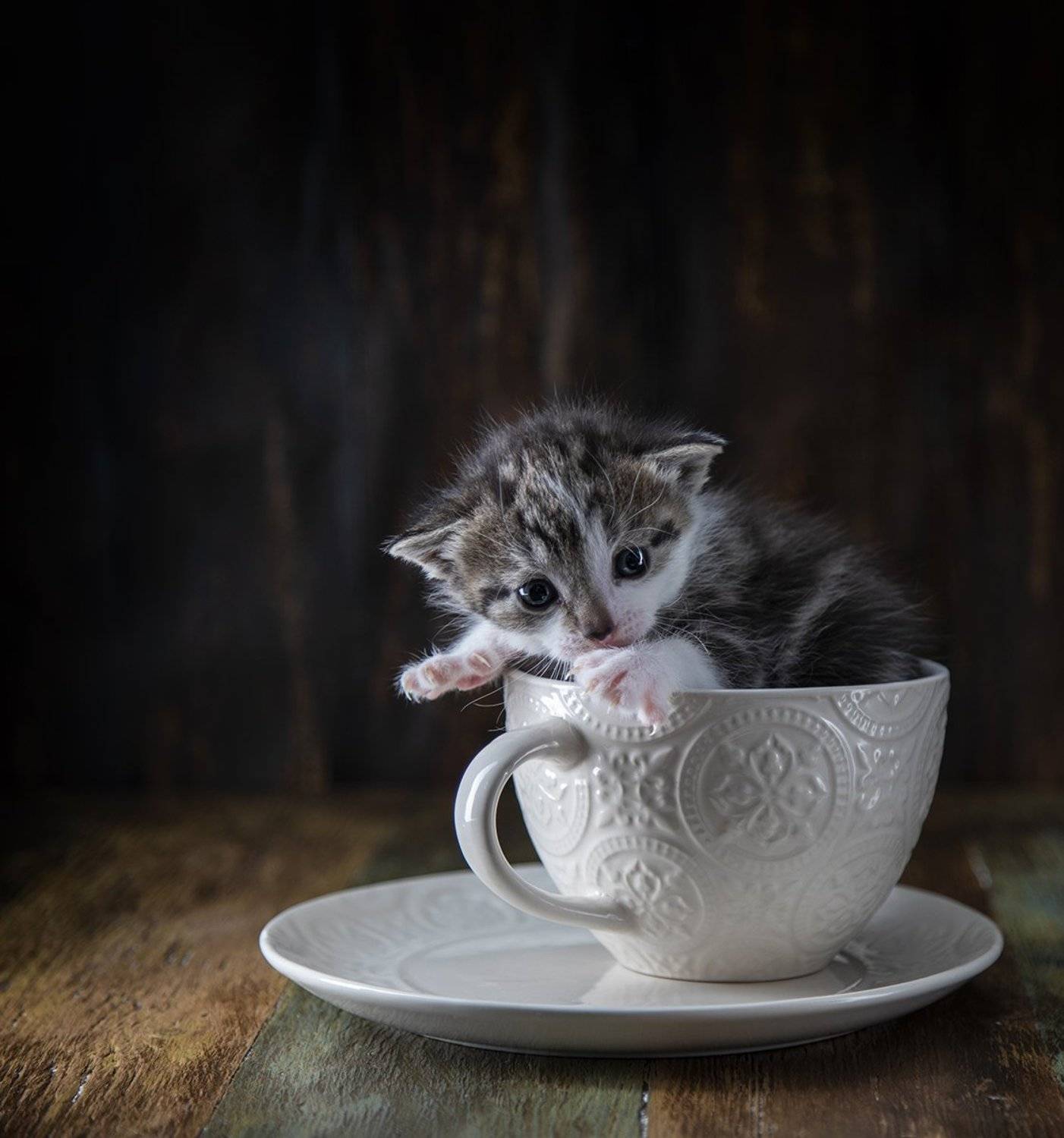 швеция,  Lapland