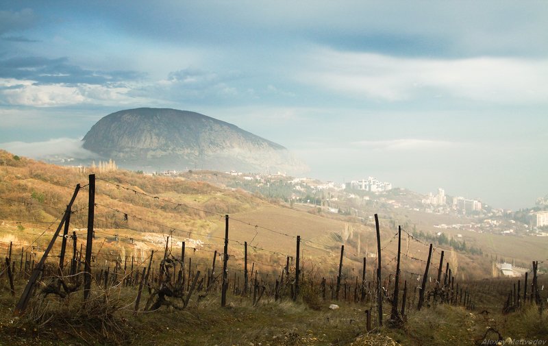 Крым, гурзуф Солнечное побережье фото превью