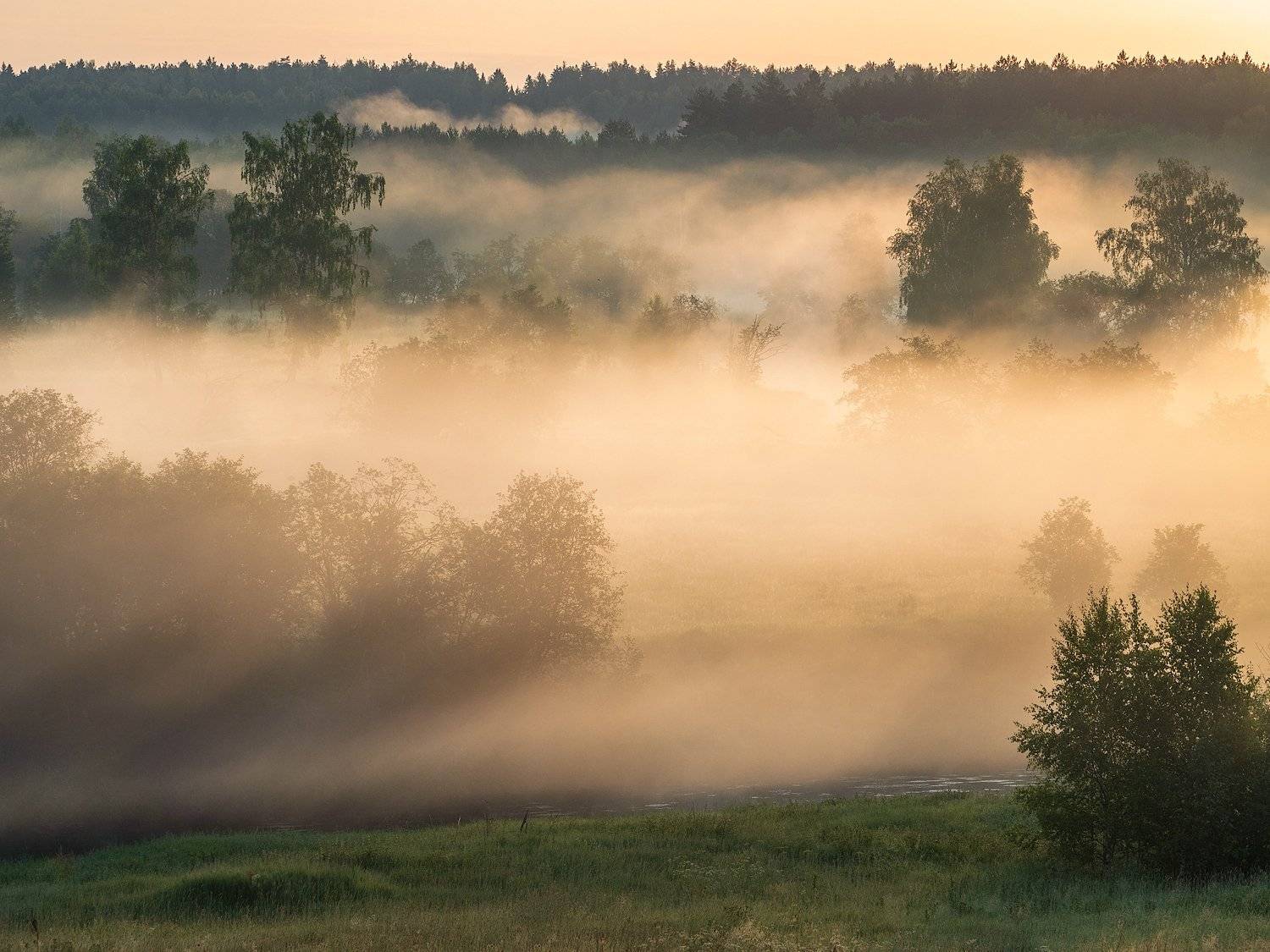 , Марина Брыдня