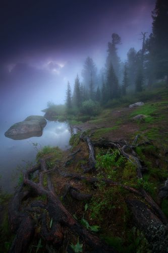 Туманы Светлого