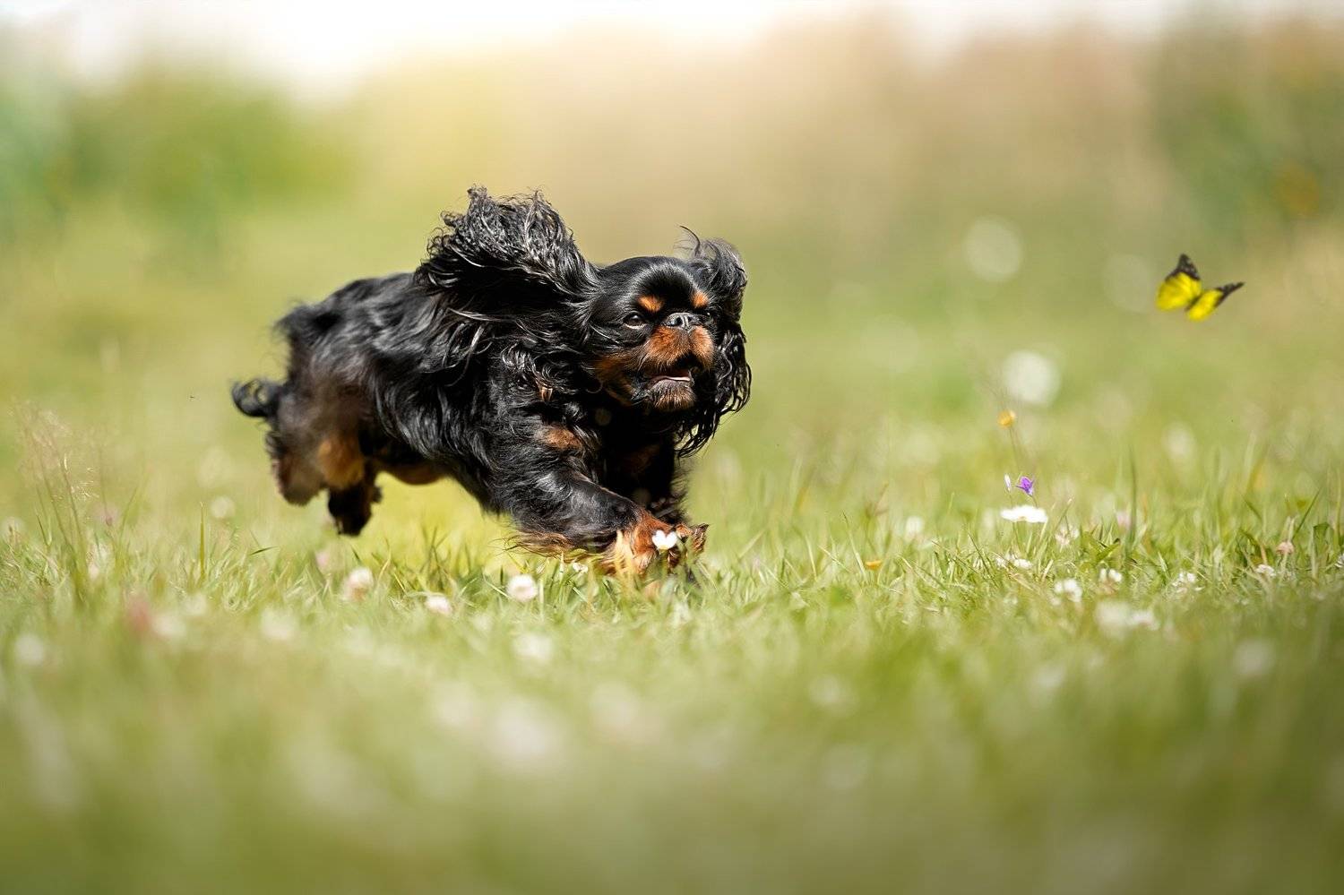 , Светлана Писарева