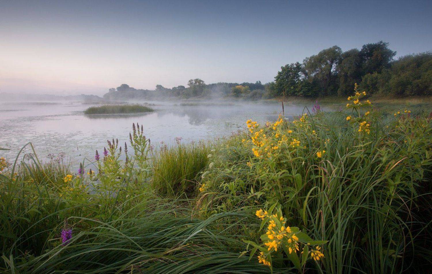 природа утро солнце туман деревья, Михаил Корнилов