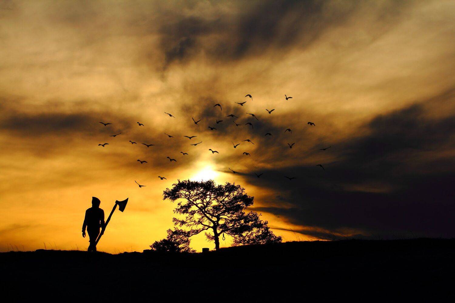 креатив, обработка, концепция, закат, заход, неизбежность, concept, sunset, inevitability, way, Дмитрий Салтыков