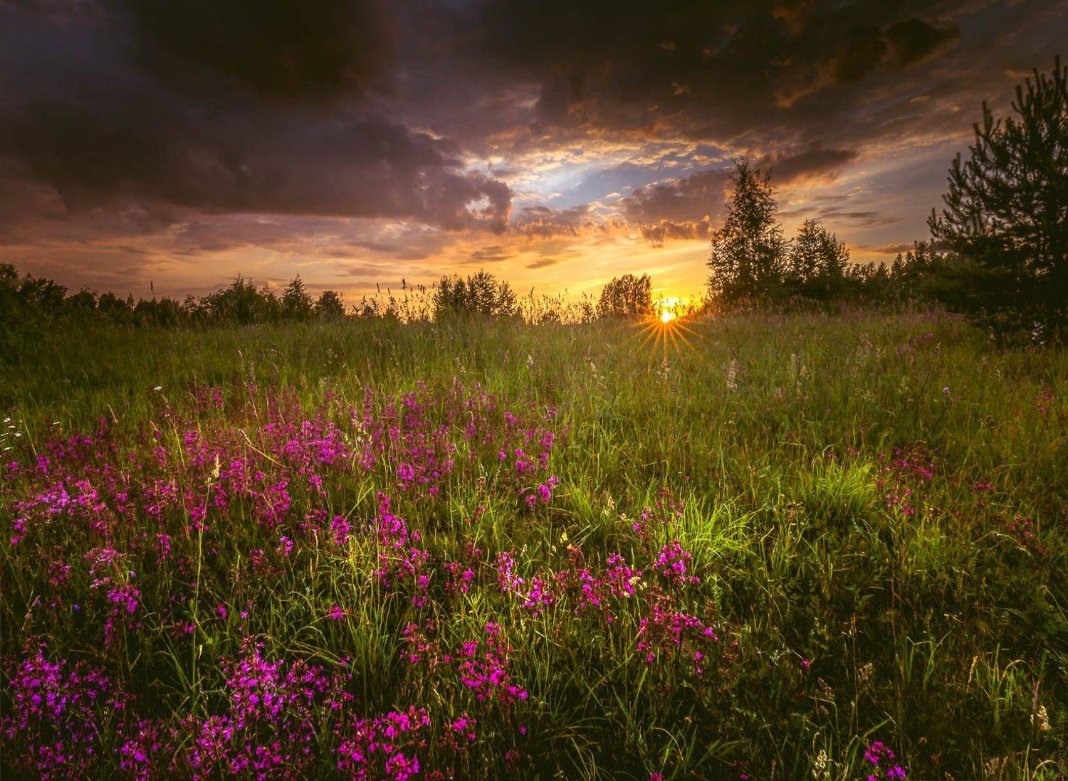 , Евгений Луцко