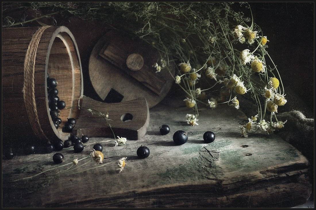 , Александр Хромеев