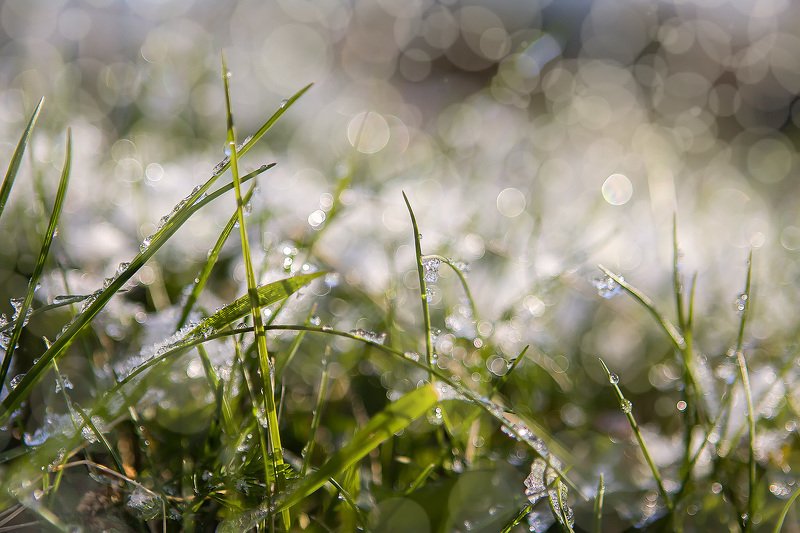 южный, урал, долгие горы, орск, новотроицк башкирия талкас Симфония росы. фото превью