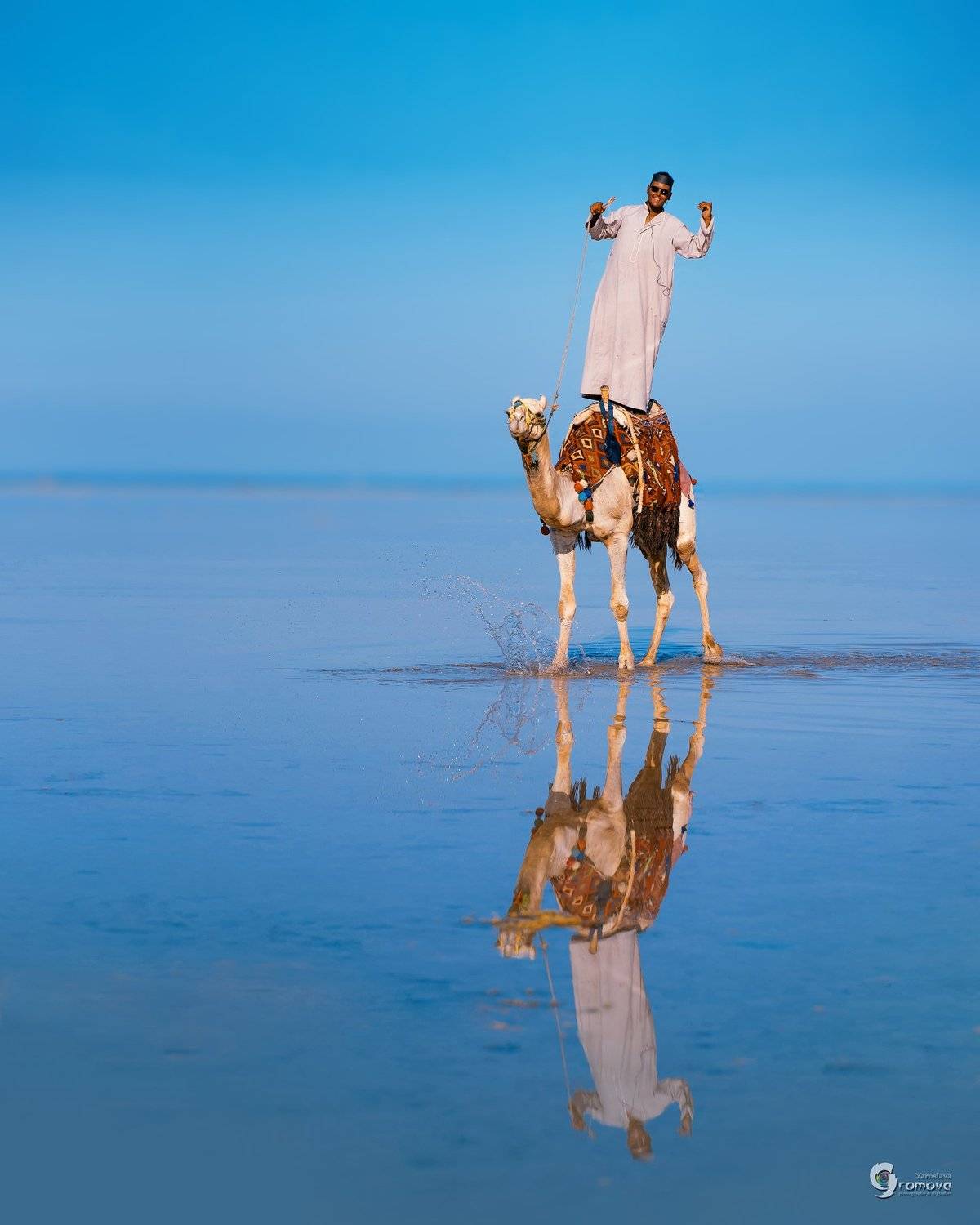 верблюд, погонщик, Красное море, отлив, кораллы, горизонт, море, Ярослава Громова