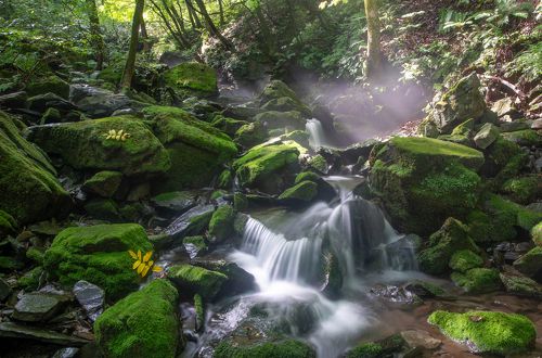 Valley of light