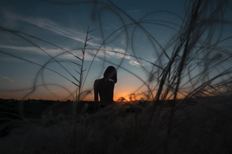 Цветущий ковыль фото превью