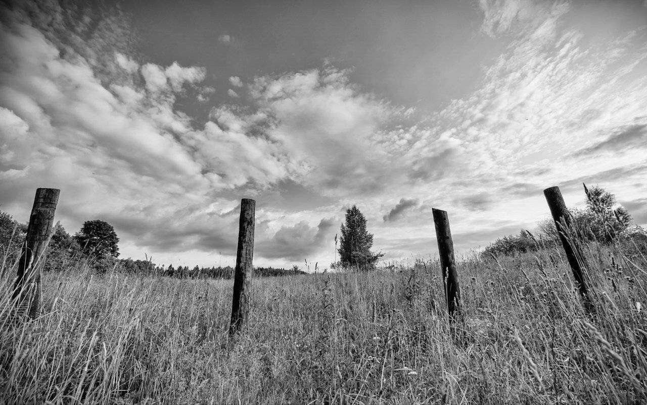 , Константин Дэм