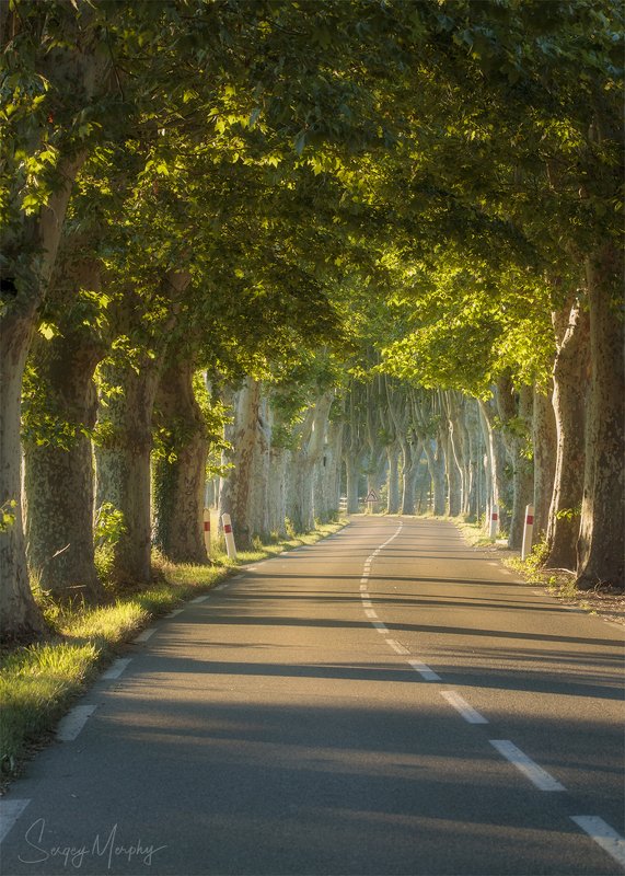 provence road valley morning sun Provence. Road valley & morning sun. фото превью