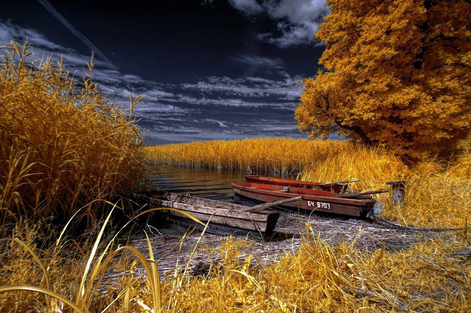 infrared,ик-фото,инфракрасное фото, инфракрасная фотография, пейзаж, лето, Sixten ( Сергей )