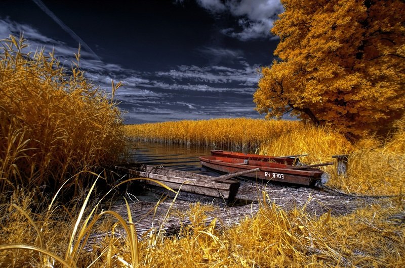 Флот. фото превью