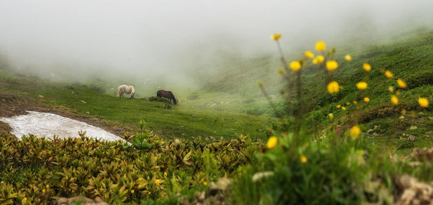 , Игорь Мелекесцев