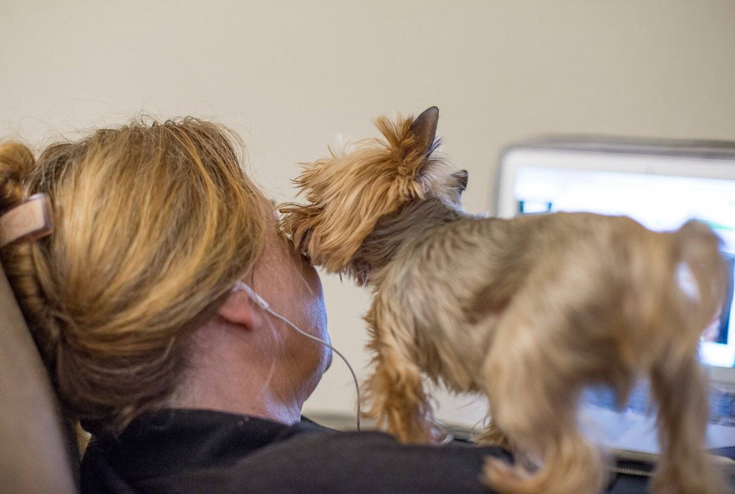 , Курлянцев Алексей