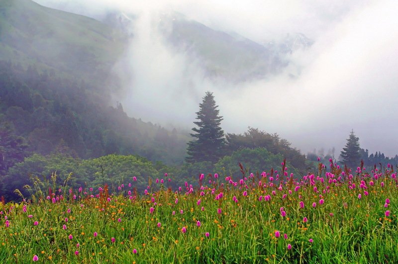 лето горы дождь В горах. фото превью