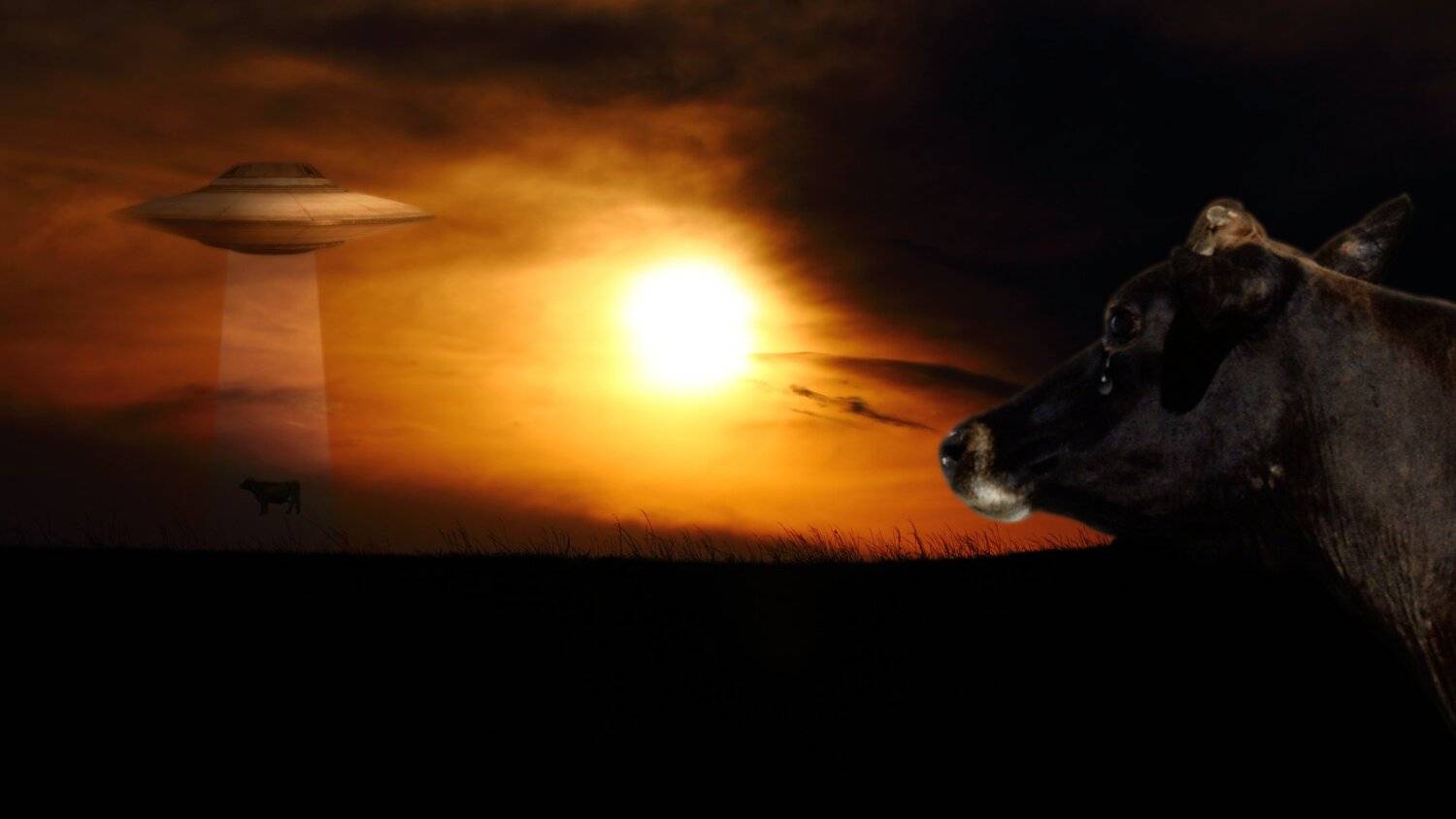 креатив, обработка, концепция, похищения, concept, aliens, guests, cows, baikal, horror, Дмитрий Салтыков