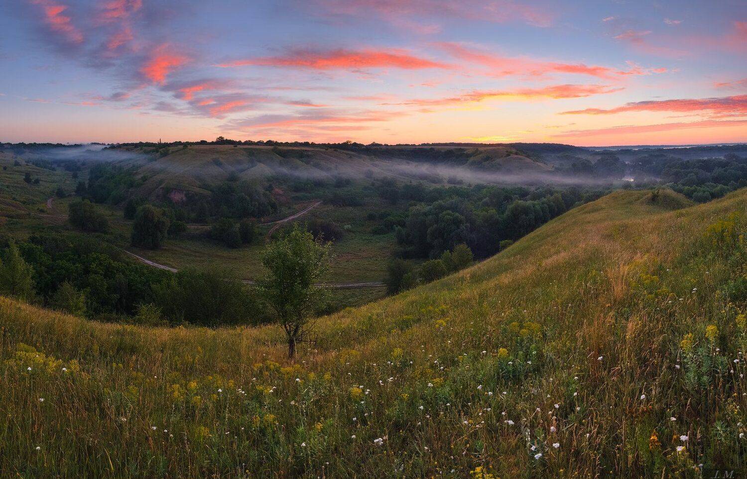 лето, утро, рассвет, облака, краски, туман, долина, холмы, панорама, пейзаж, дерево, sunrise, summer, morning, fog, misty, valley, hills, tree, clouds, colors, light, red, panorama, landscape, countryside, sky, foggy, Ivan Maljarenko 