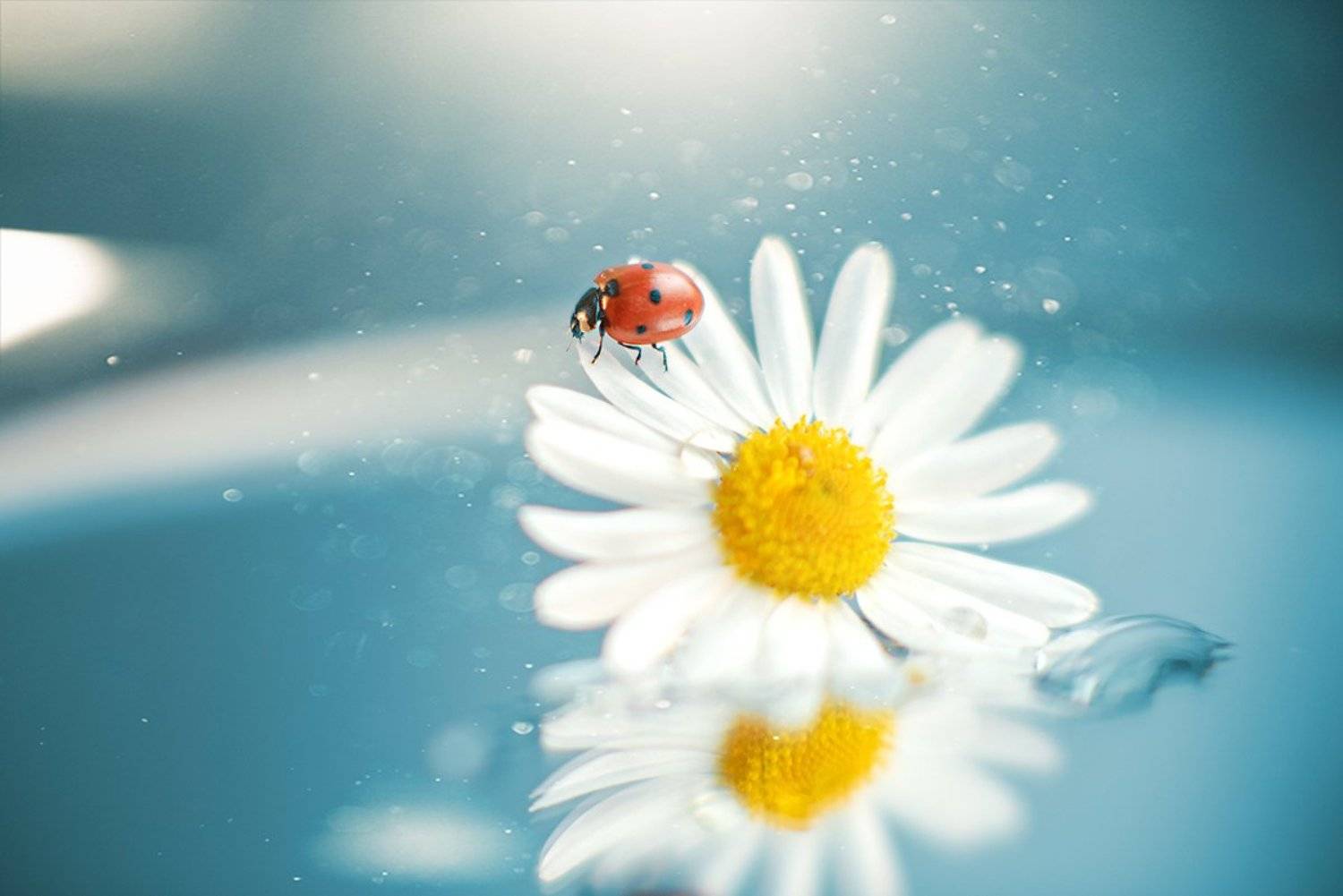 , Юлия Таратынова