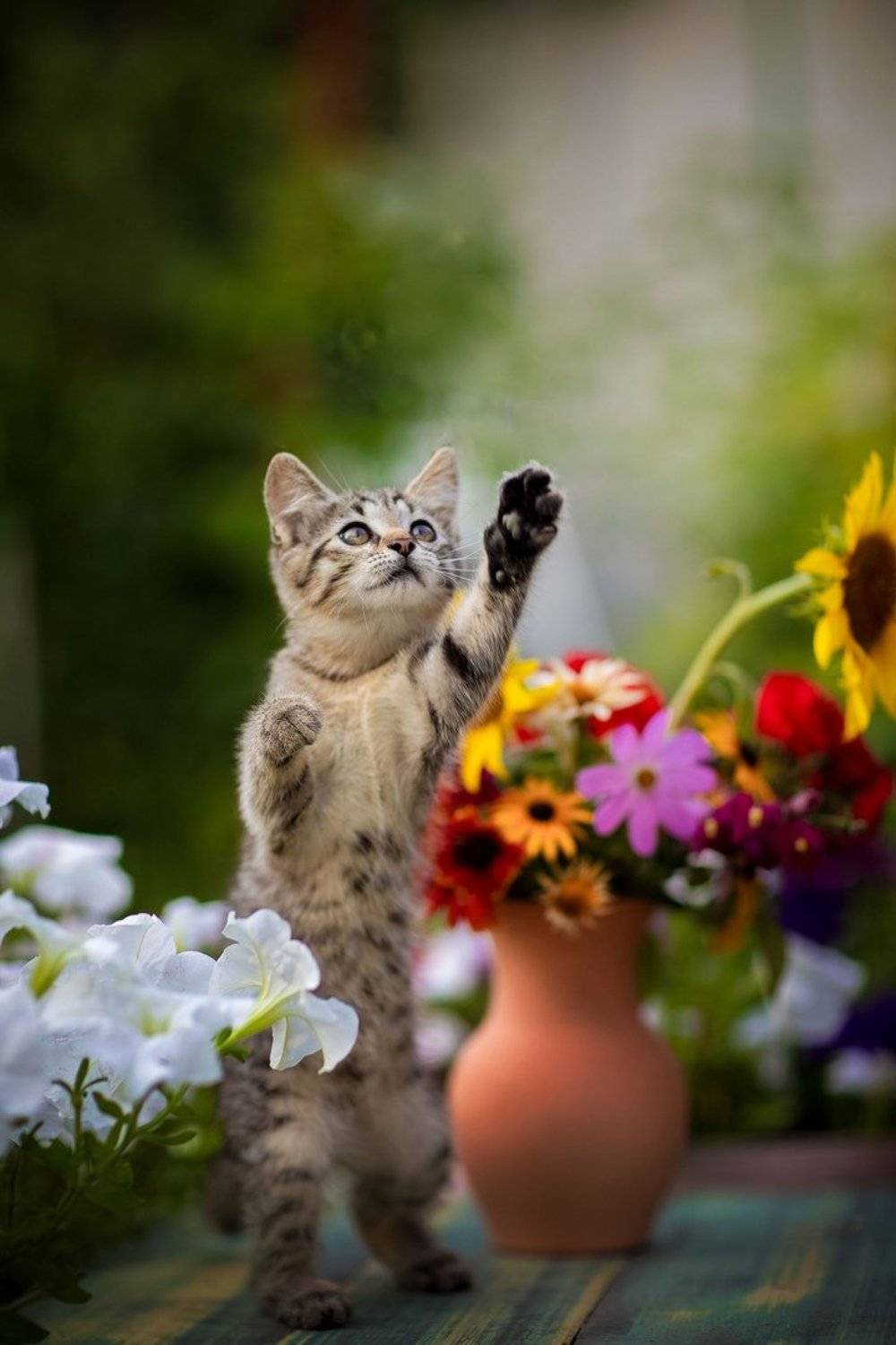 , Коротун Юрий