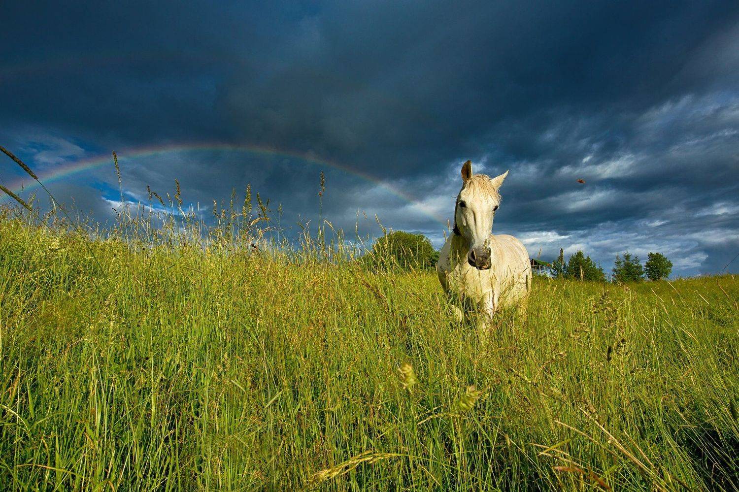 , Матвеева Люба