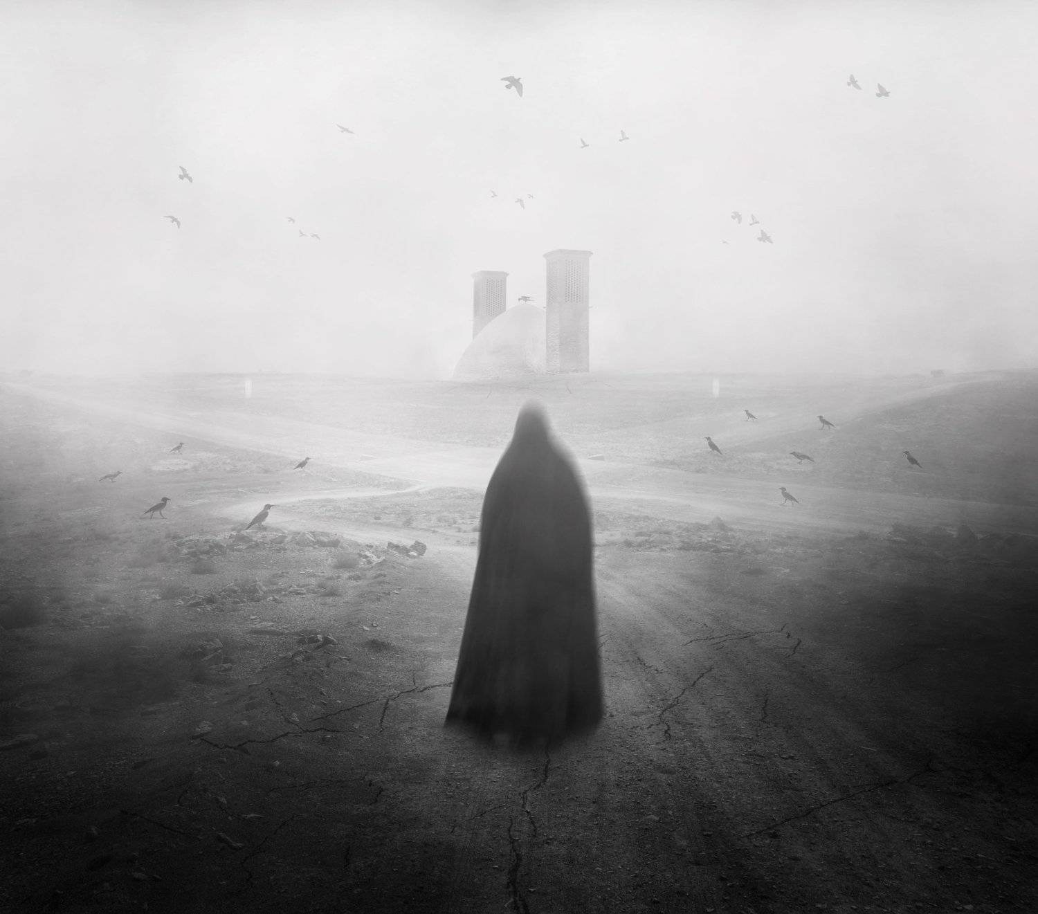 FineArt , Shervin Khan Mohammadi