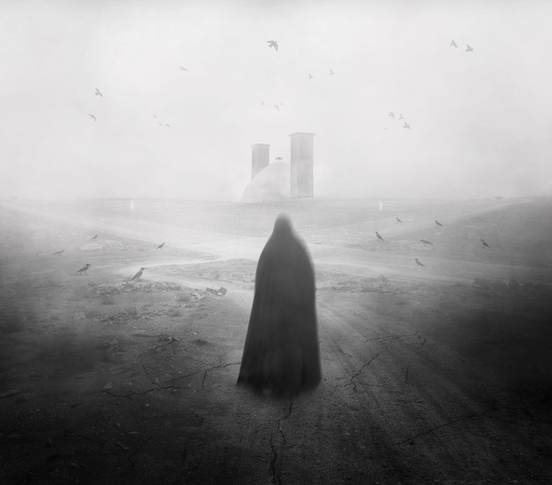 FineArt  The Pursuit Of Truth фото превью