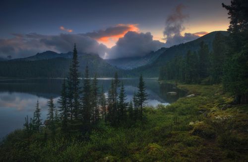 Перед рассветом