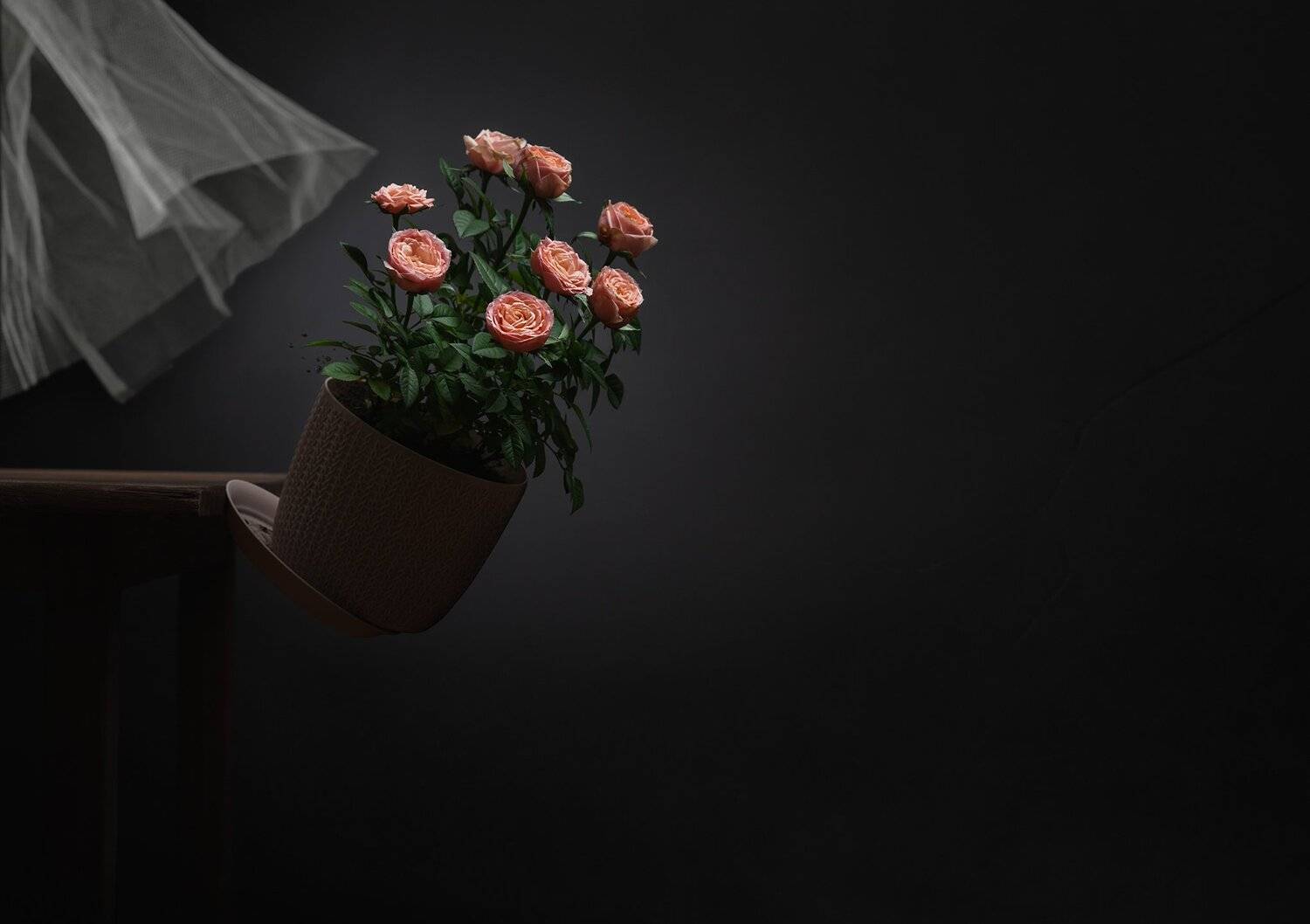 , Алексей Дивнич