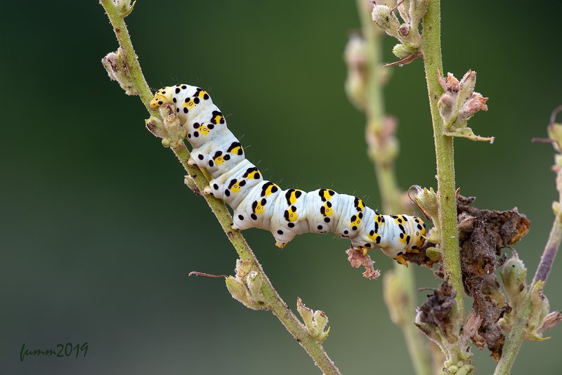 ЖИЗНЬ УДАЛАСЬ! фото превью