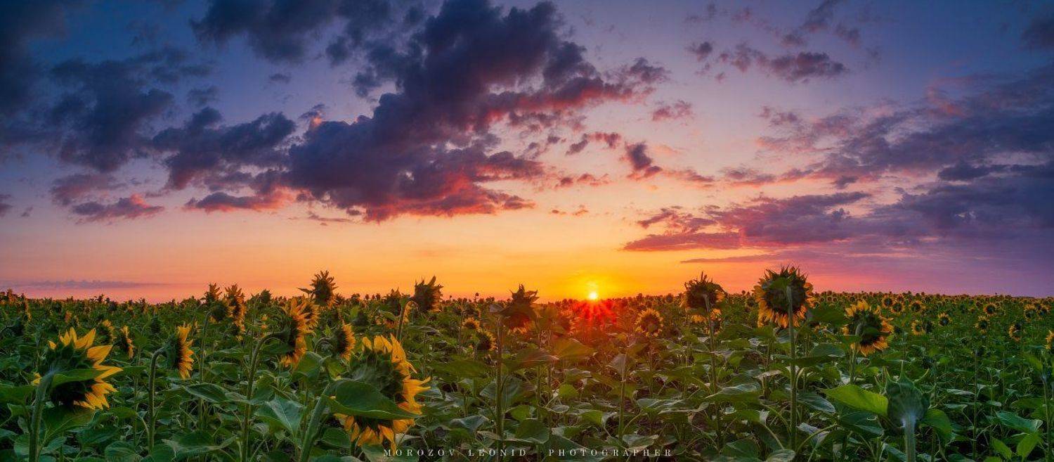 #landscape #nature #scenery #forest #wood #autumn #mist #misty #fog #foggy #river #waterfall #longexposure #mountain #vitosha #bulgari #aтуман #лес #oсень, Леонид Морозов