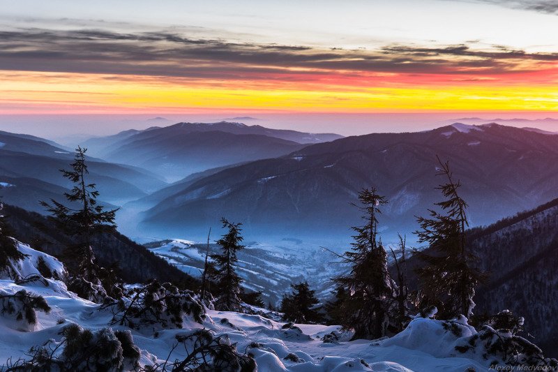 карпаты, украина, пишконя, пішконя Вечер на Ясновце фото превью