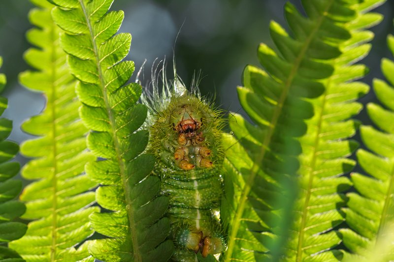 А вот и я :) фото превью