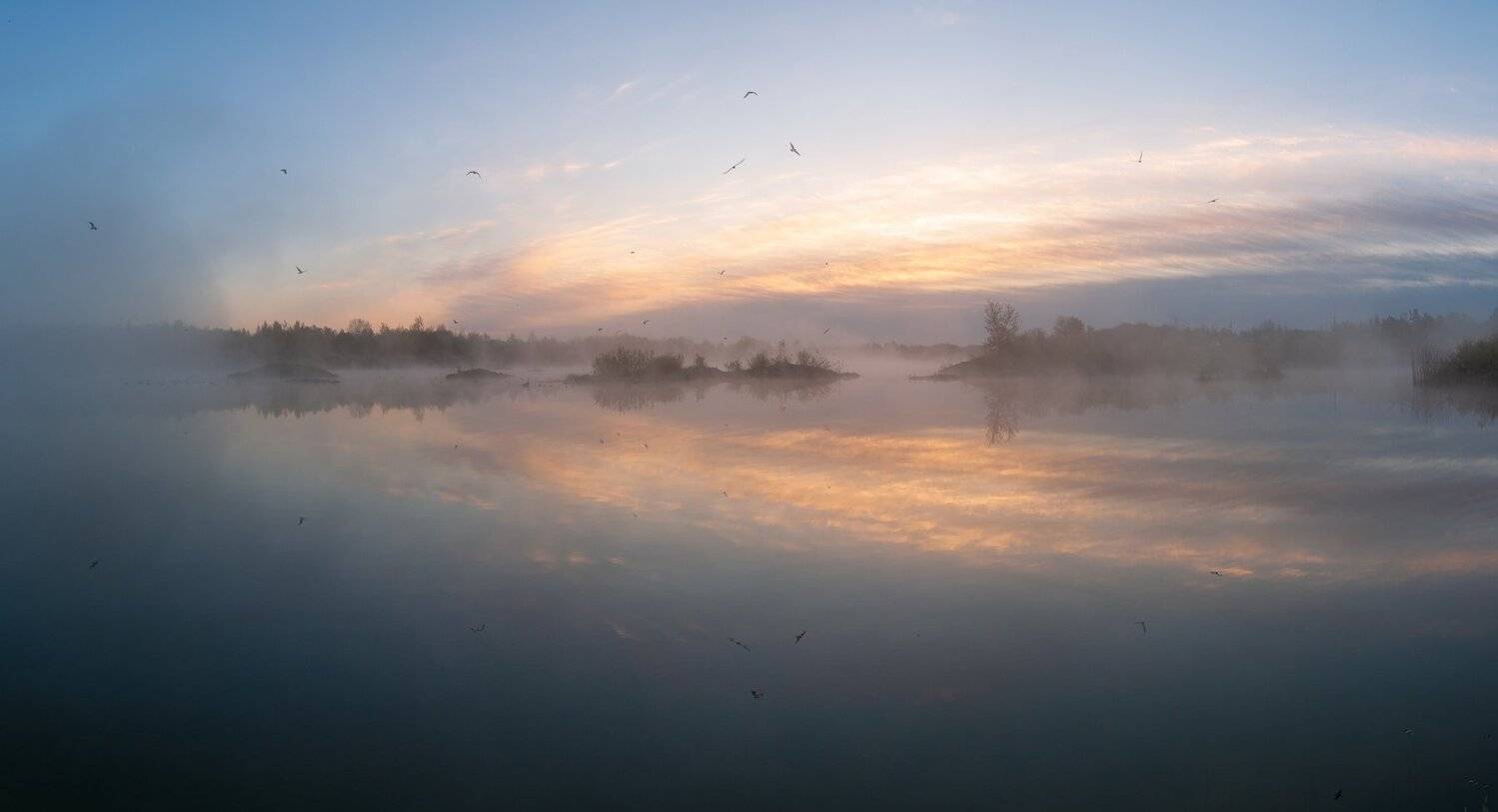 псков, Roman Dmitriev