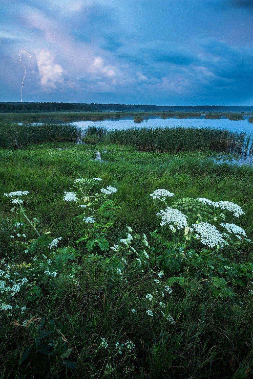 , Александр Казин