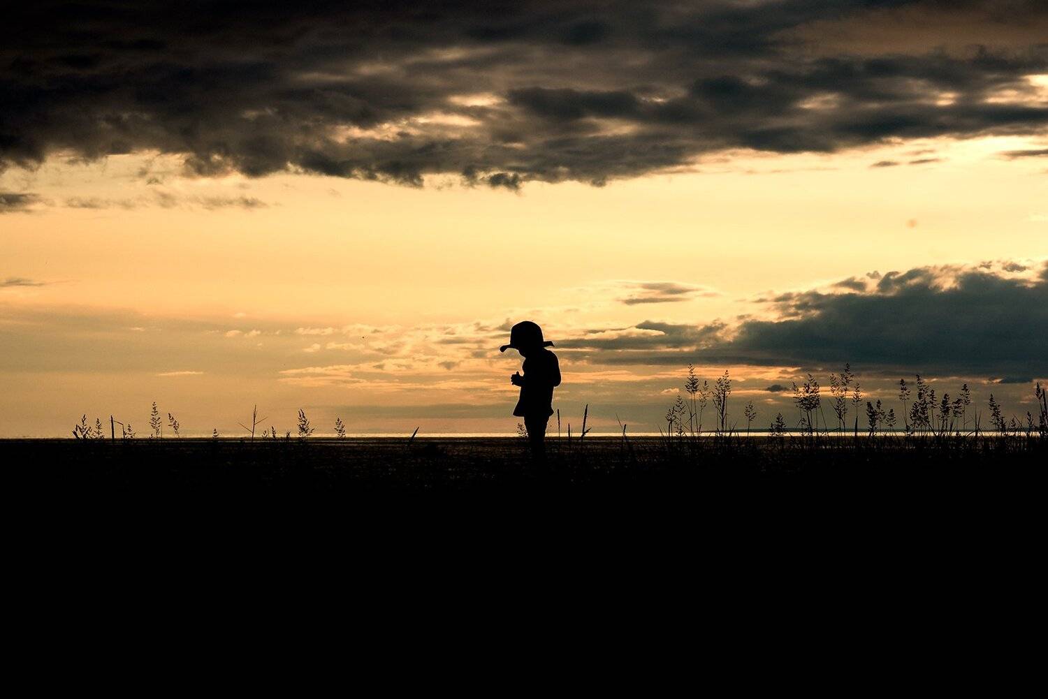 , Виктория Разина