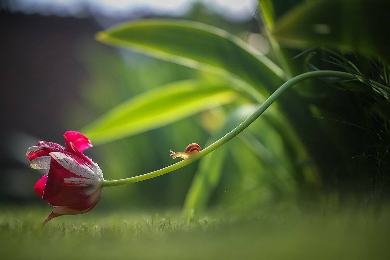 , Вячеслав Мищенко