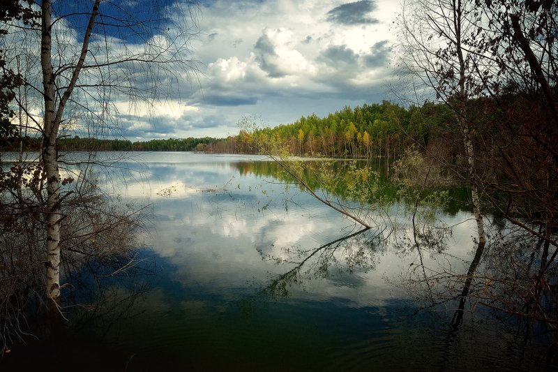 лес, природа, пейзаж, лето, подмосковье Лето фото превью