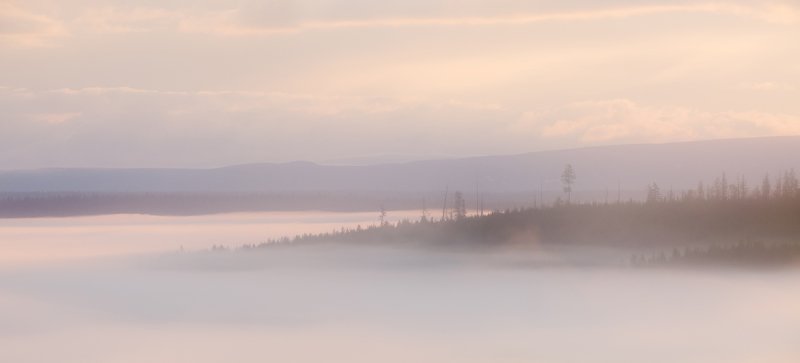 ...Туманы белых ночей... фото превью