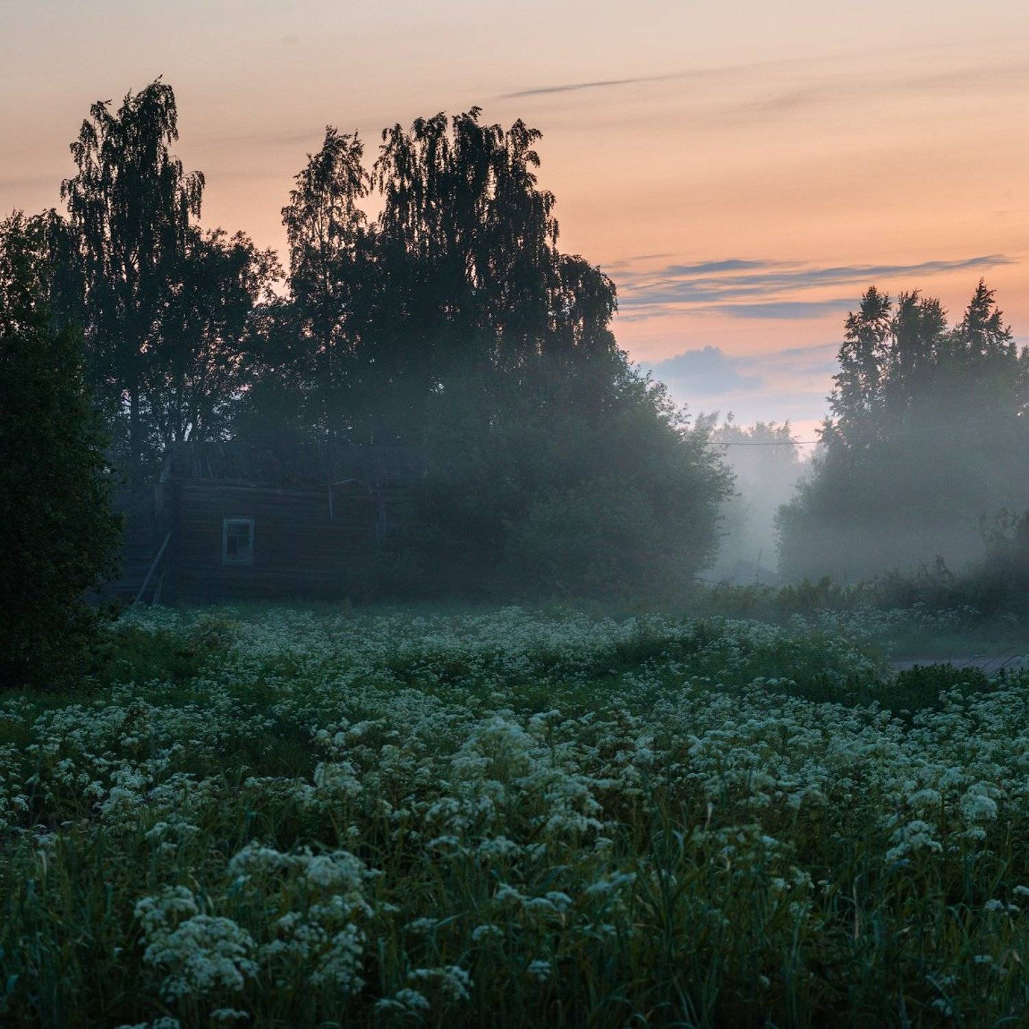 великий двор,вологодчина,кема,север,лето,, Роман Горячий