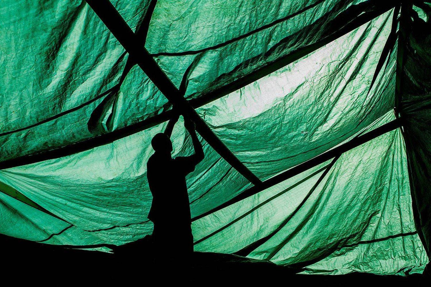 zebrophoto andrey veselov  андрей веселов , Андрей Веселов