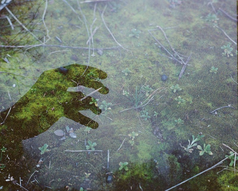 The Moss Man фото превью